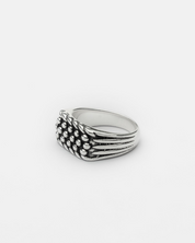 Phylax Ring